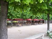 Paris --  Cafe under the trees in the Jardin des Tuileries: by billh, Views[211]