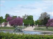 Paris -- View to the north from the Jardin des Tuileries: by billh, Views[175]