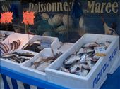 Paris -- Marche Daumesnil -- seafood -- fresh salmon heads on right.05: by billh, Views[171]