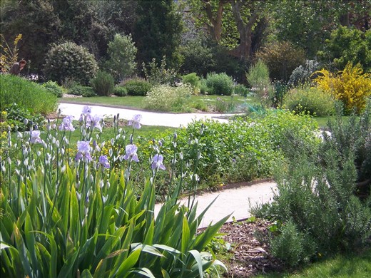 Paris -- Jardin des Plantes.02