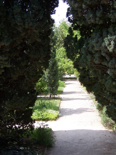 Paris -- Jardin des Plantes.03