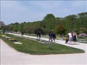Paris -- Jardin des Plantes.05: by billh, Views[138]