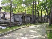 Paris -- Cimetiere du Pere Lachaise -- paved walkway: by billh, Views[203]