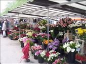 Paris -- Marche Segur -- flower stall: by billh, Views[274]