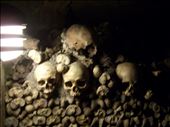 Paris -- Catacombs -- skulls/bones neatly stacked 10' high, 30' deep, 30' wide: by billh, Views[390]
