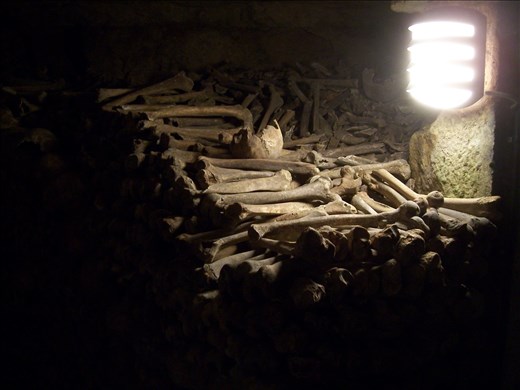 Paris -- Catacombs -- close-up of stacked bones