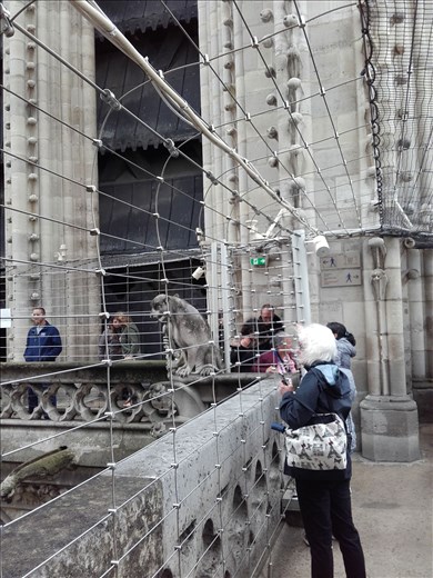 Paris -- Cathedrale Notre Dame --  Cindy on platform between towers