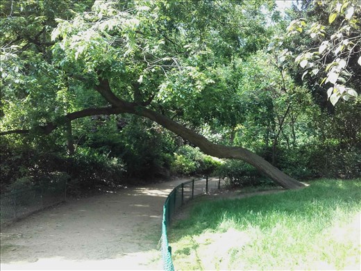 Paris -- Parc Monceau -- pathway