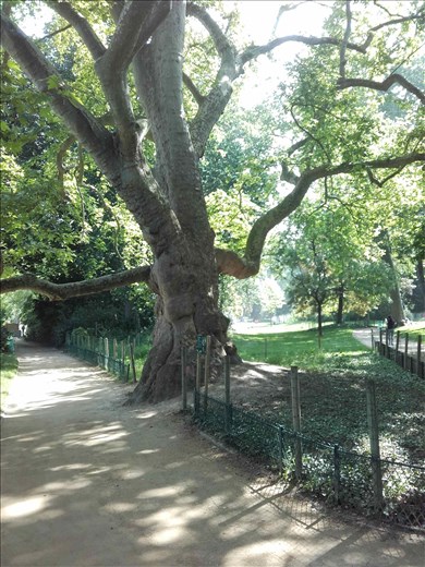 Paris -- Parc Monceau.02