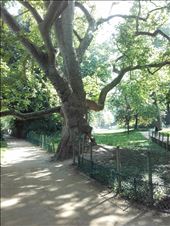 Paris -- Parc Monceau.02: by billh, Views[198]