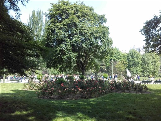 Paris -- Parc Monceau -- flowers, tree, elementary school class on field trip