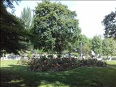 Paris -- Parc Monceau -- flowers, tree, elementary school class on field trip: by billh, Views[177]
