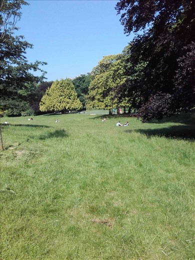 Paris -- Parc Monceau -- picnicing, sunbathing in meadow