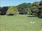 Paris -- Parc Monceau -- picnicing, sunbathing in meadow.02: by billh, Views[141]