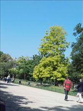 Paris -- Parc Monceau -- leafy tree and school kids: by billh, Views[190]