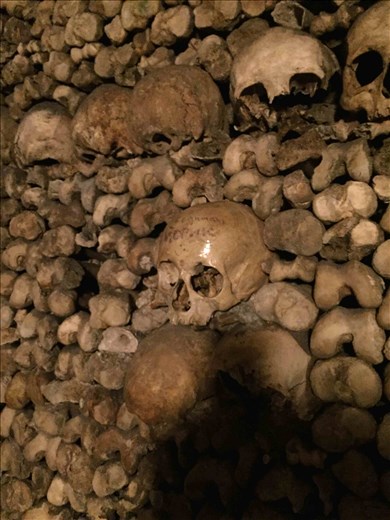 Paris -- Catacombs -- stacked remains