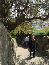 Paris -- Basilique du Sacre Coeur -- steps down, rough hewn rock handrail: by billh, Views[234]