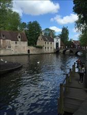 Brugge -- canal/stream that surrounds Brugge running past entry port: by billh, Views[256]