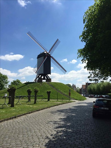 Brugge -- windmill on bank of canal