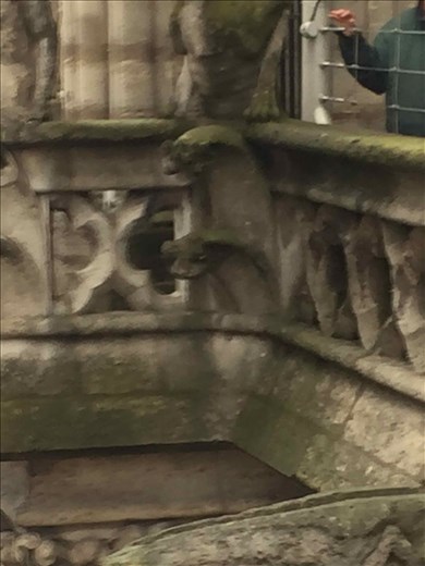 Paris -- Cathedrale Notre Dame -- gargoyles close-up.02