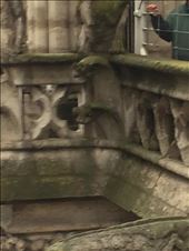 Paris -- Cathedrale Notre Dame -- gargoyles close-up.02: by billh, Views[118]