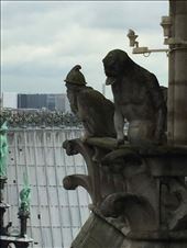 Paris -- Cathedrale Notre Dame -- gargoyles close-up.03: by billh, Views[162]