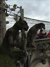 Paris -- Cathedrale Notre Dame -- gargoyles close-up.04: by billh, Views[132]