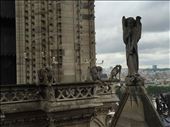 Paris -- Cathedrale Notre Dame -- gargoyles close-up.05: by billh, Views[199]