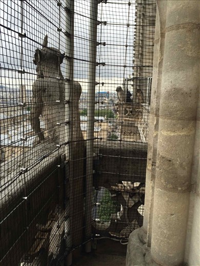 Paris -- Cathedrale Notre Dame -- 14