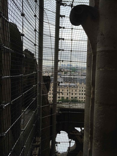 Paris -- Cathedrale Notre Dame -- 14