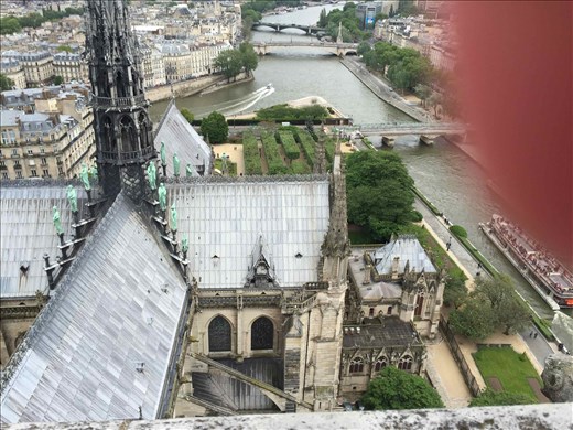 Paris -- Cathedrale Notre Dame -- view of the Seine from bell towers