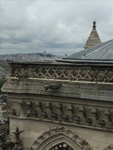 Paris --Cathedrale Notre dame -- view from the top of the bell towers.06