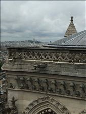 Paris --Cathedrale Notre dame -- view from the top of the bell towers.06: by billh, Views[205]