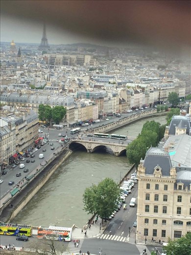 Paris -- Cathedrale Notre Dame -- view of Seine -- from top of bell towers