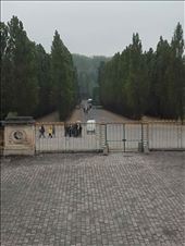 Petit Trianon -- looking at front gate from building: by billh, Views[198]