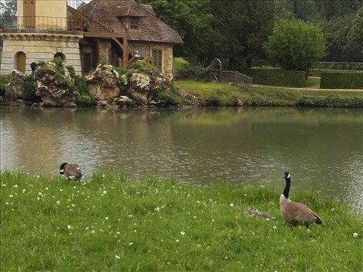 Marie Antoinette's Hamlet.01