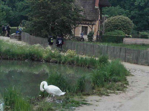 Marie Antoinette's Hamlet.02