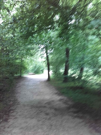 Marie Antoinette's Hamlet -- path from Petit Trianon