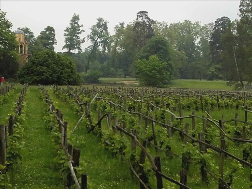 Marie Antoinette's Hamlet.09