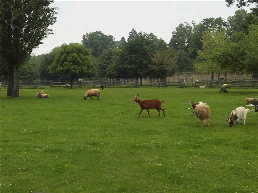 Marie Antoinette's Hamlet.13