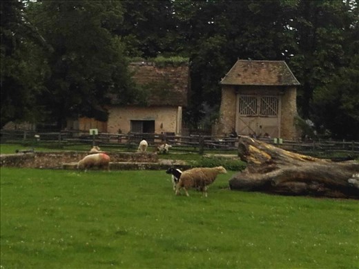 Marie Antoinette's Hamlet.12