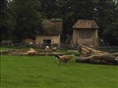 Marie Antoinette's Hamlet.12: by billh, Views[190]
