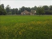 Marie Antoinette's Hamlet.11: by billh, Views[218]