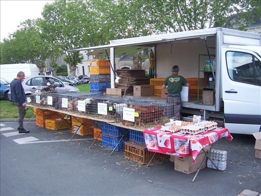 Coutures -- Brissac farmers' market.05