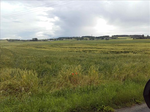 Coutures -- Surrounding area.01