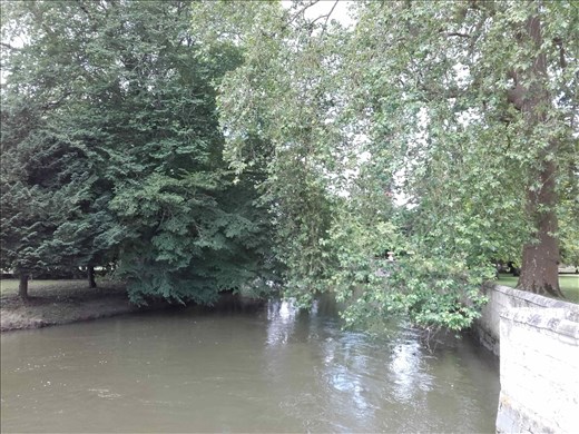 Chateau d'Azay- Rideau.18