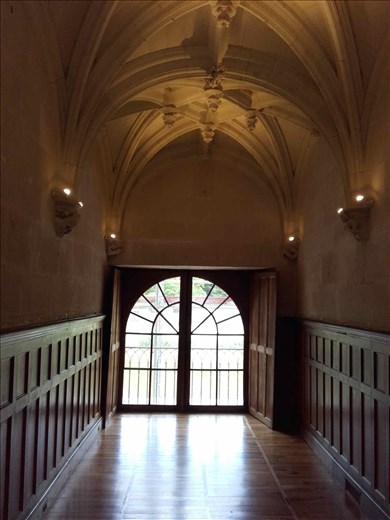 Chateau d'Azay- Rideau --vaulted ceiling in hallway