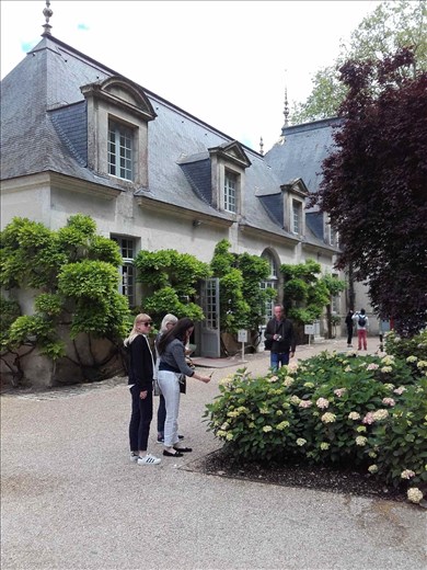 Chateau d'Azay- Rideau -- entry square.02