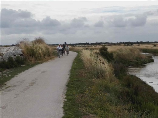 I'le de Re -- bicycling with Christine and Kathy.01