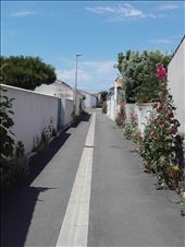 I'le de Re.01: by billh, Views[291]